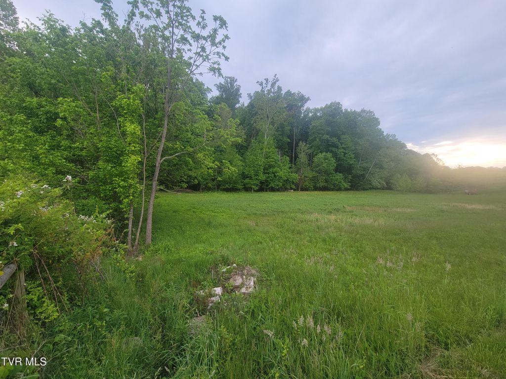 Photo of 1390 Island Road, Blountville, TN 37617 (MLS # 9995555)
