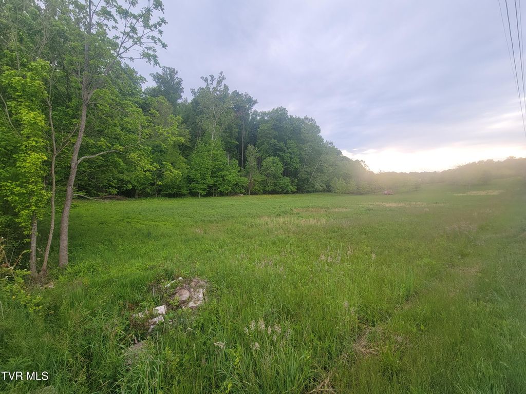 Photo of 1390 Island Road, Blountville, TN 37617 (MLS # 9995555)