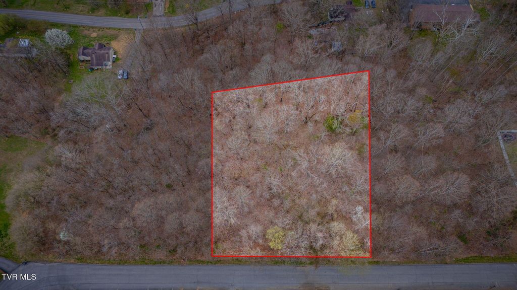 Photo of 7 Lake Forest Drive, Kingsport, TN 37663 (MLS # 9992341)