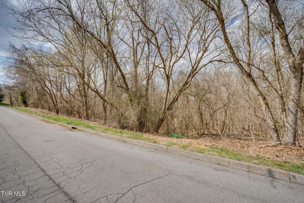 Photo of 7 Lake Forest Drive, Kingsport, TN 37663 (MLS # 9992341)