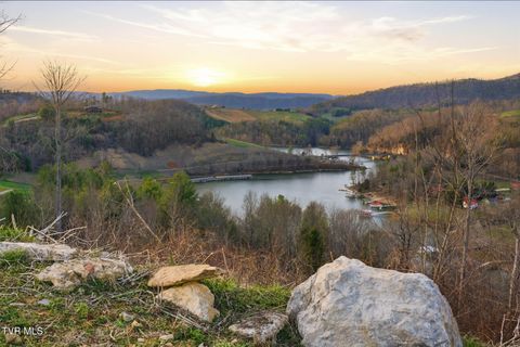 Vacant Land For Sale - LOT 25 Eagle Ridge Parkway<br/> Johnson County, Butler, TN 37640
