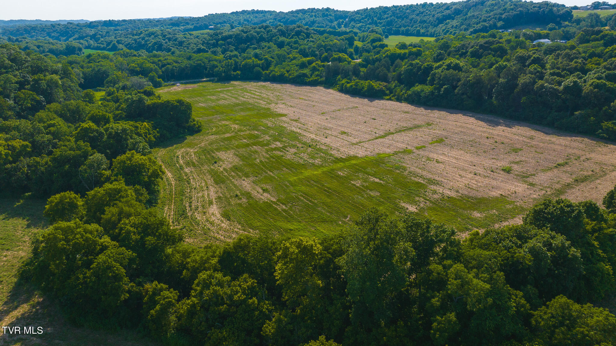 14460 Warrensburg Road, Midway, Tennessee image 32