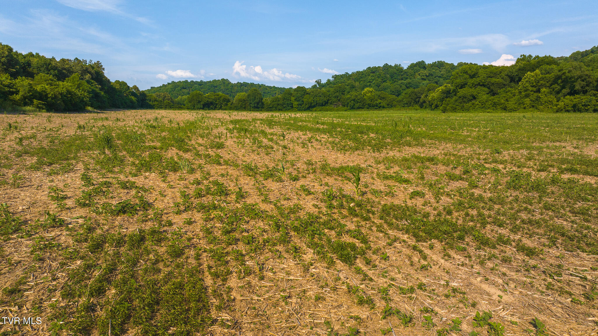 14460 Warrensburg Road, Midway, Tennessee image 21