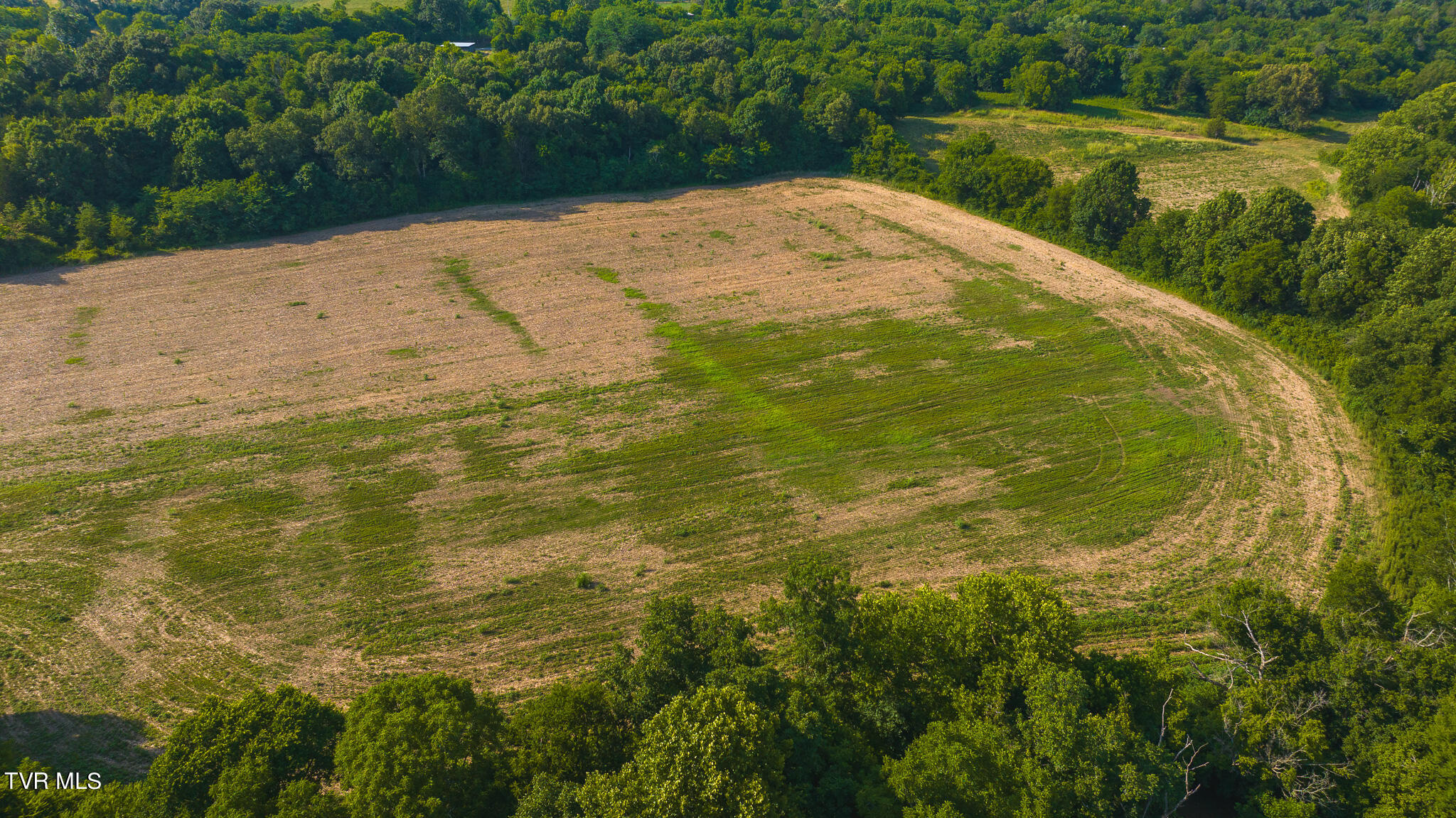 14460 Warrensburg Road, Midway, Tennessee image 30
