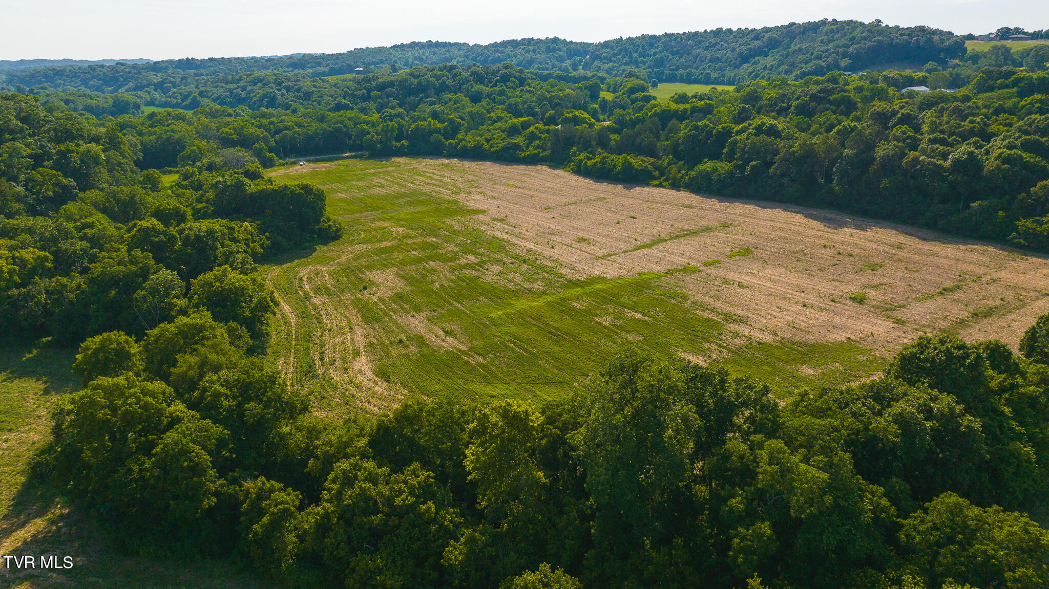 14460 Warrensburg Road, Midway, Tennessee image 31