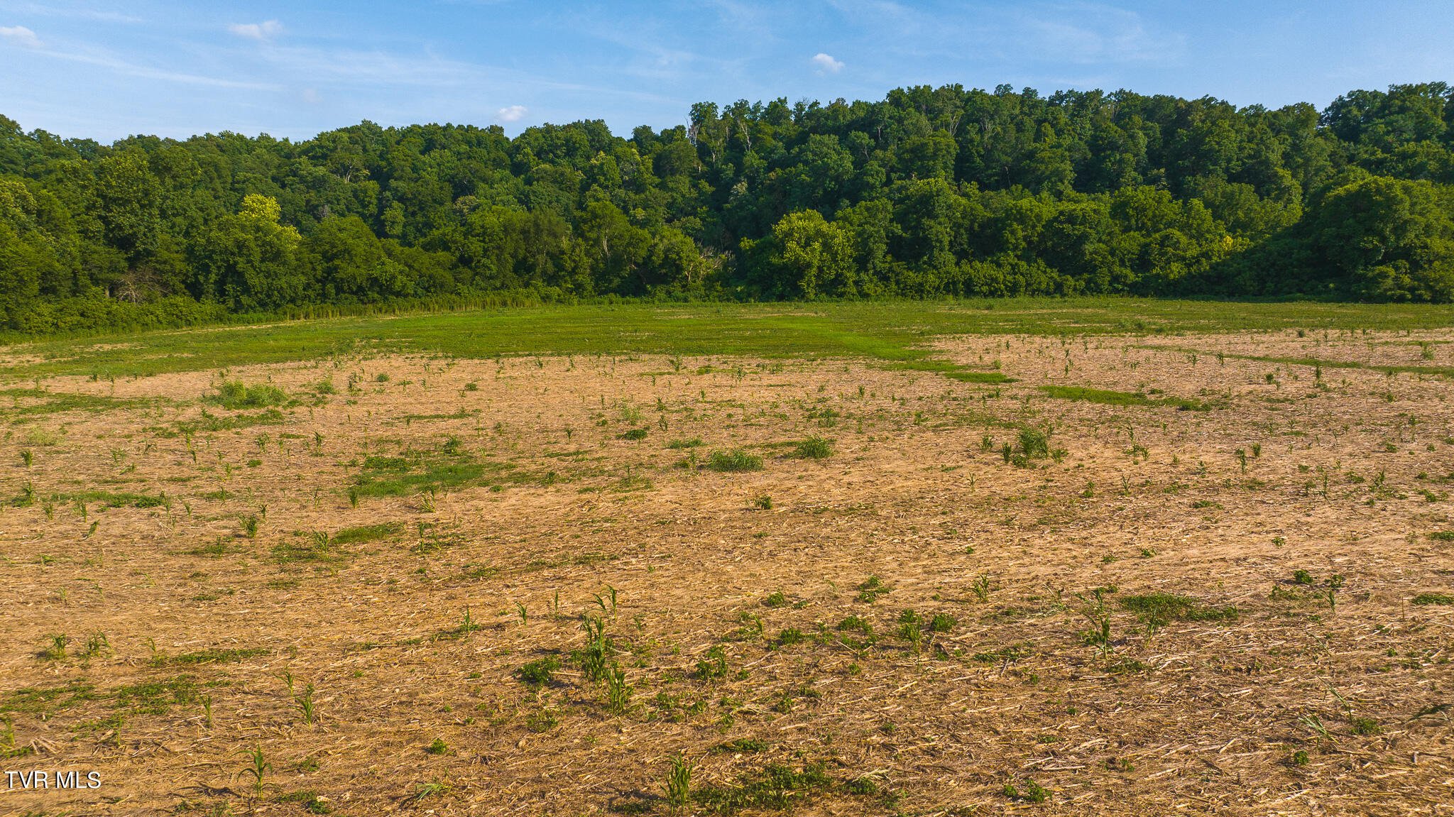 14460 Warrensburg Road, Midway, Tennessee image 15