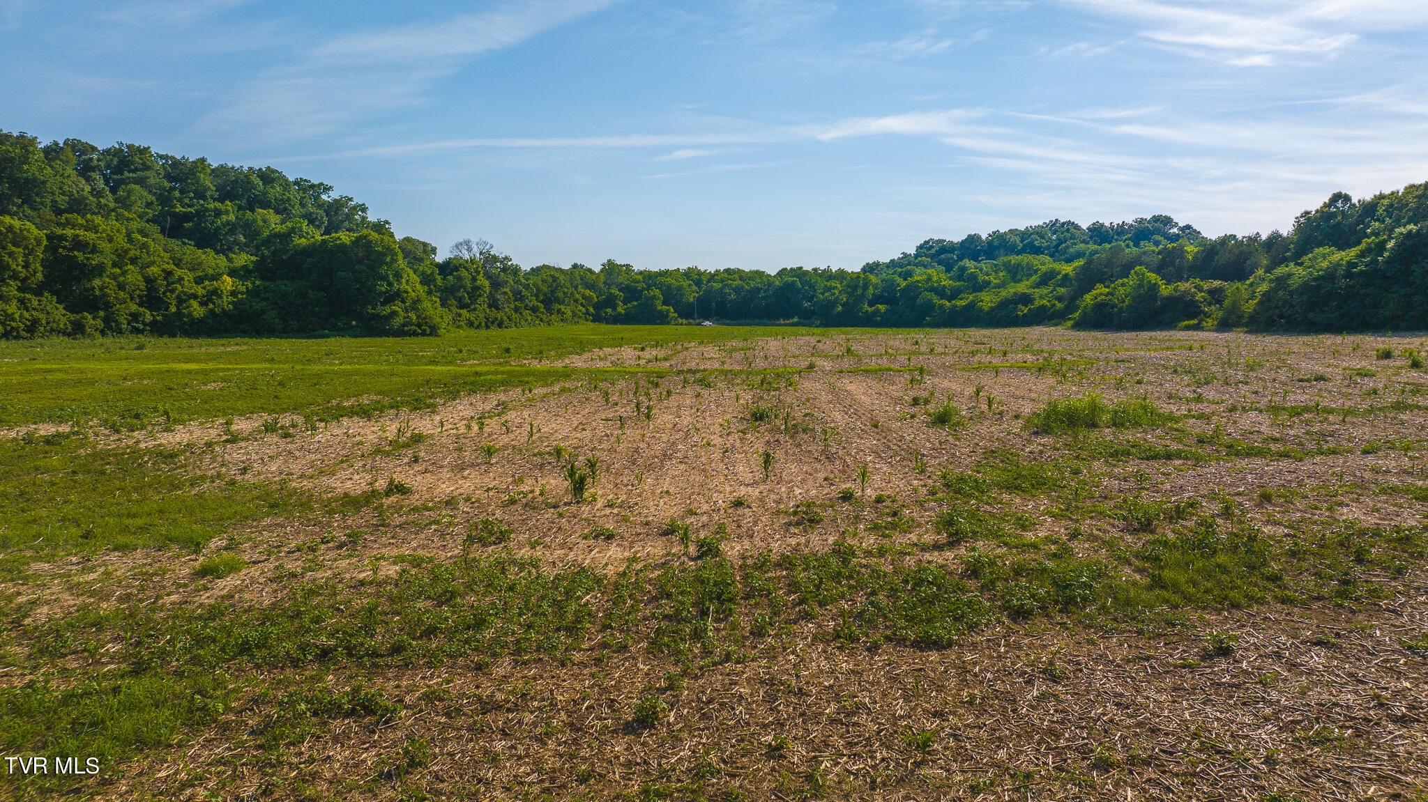 14460 Warrensburg Road, Midway, Tennessee image 11