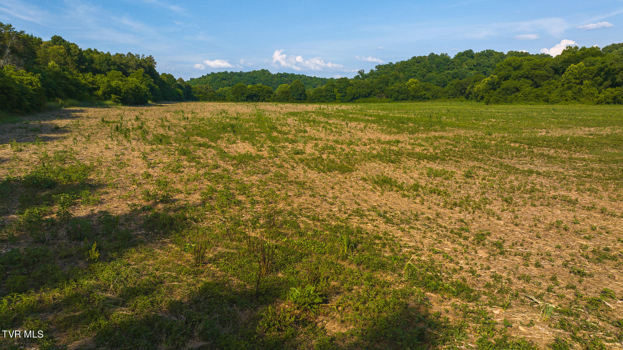 14460 Warrensburg Road, Midway, Tennessee image 20