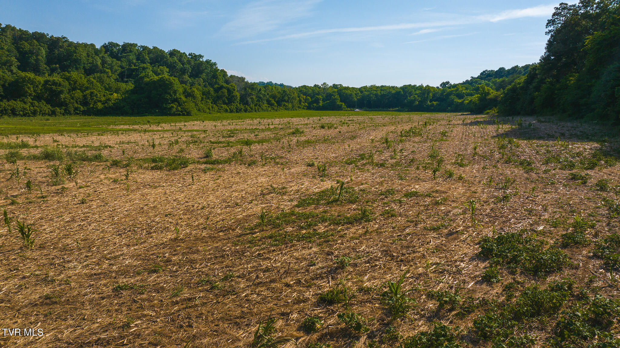 14460 Warrensburg Road, Midway, Tennessee image 12