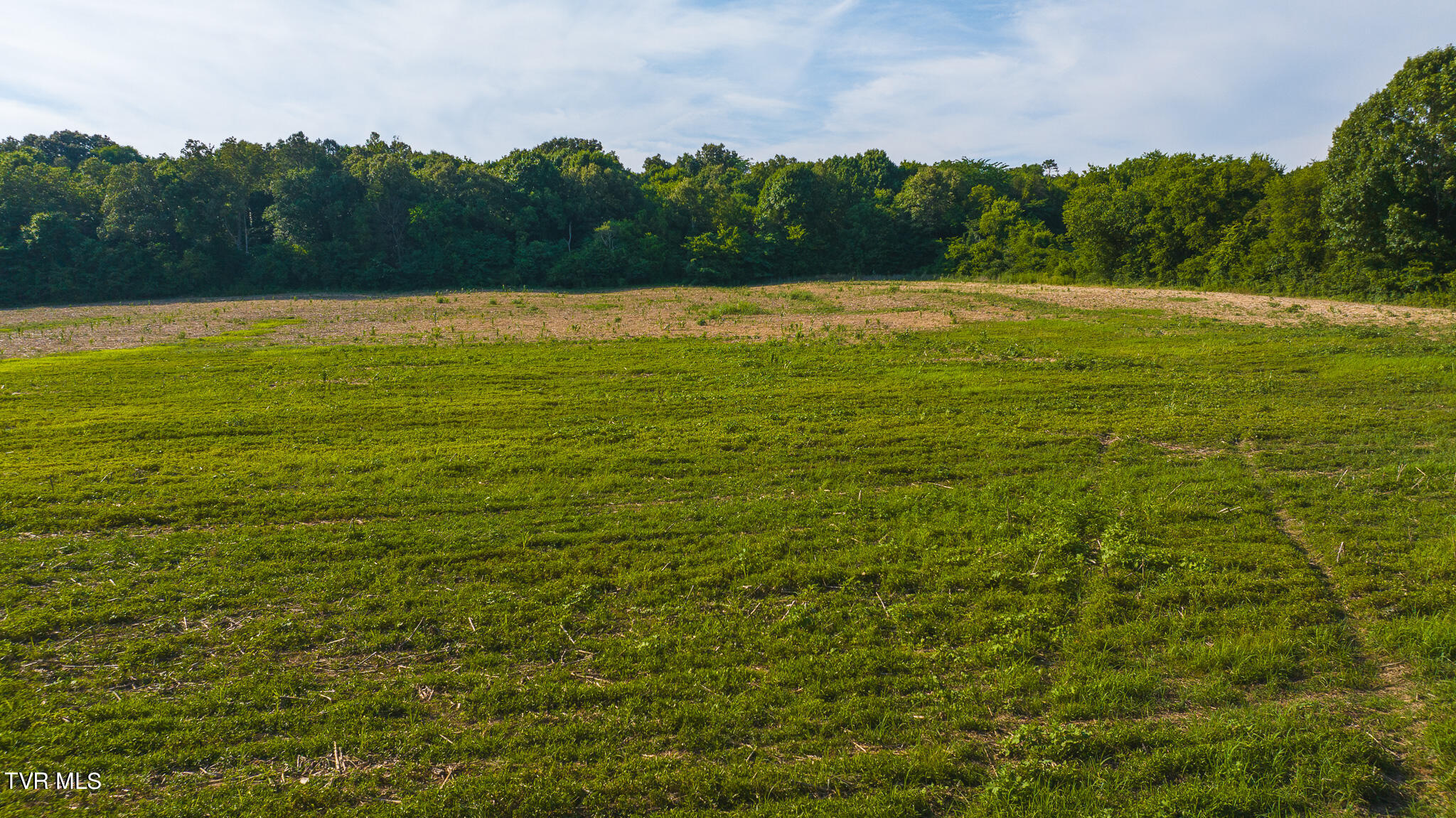 14460 Warrensburg Road, Midway, Tennessee image 1