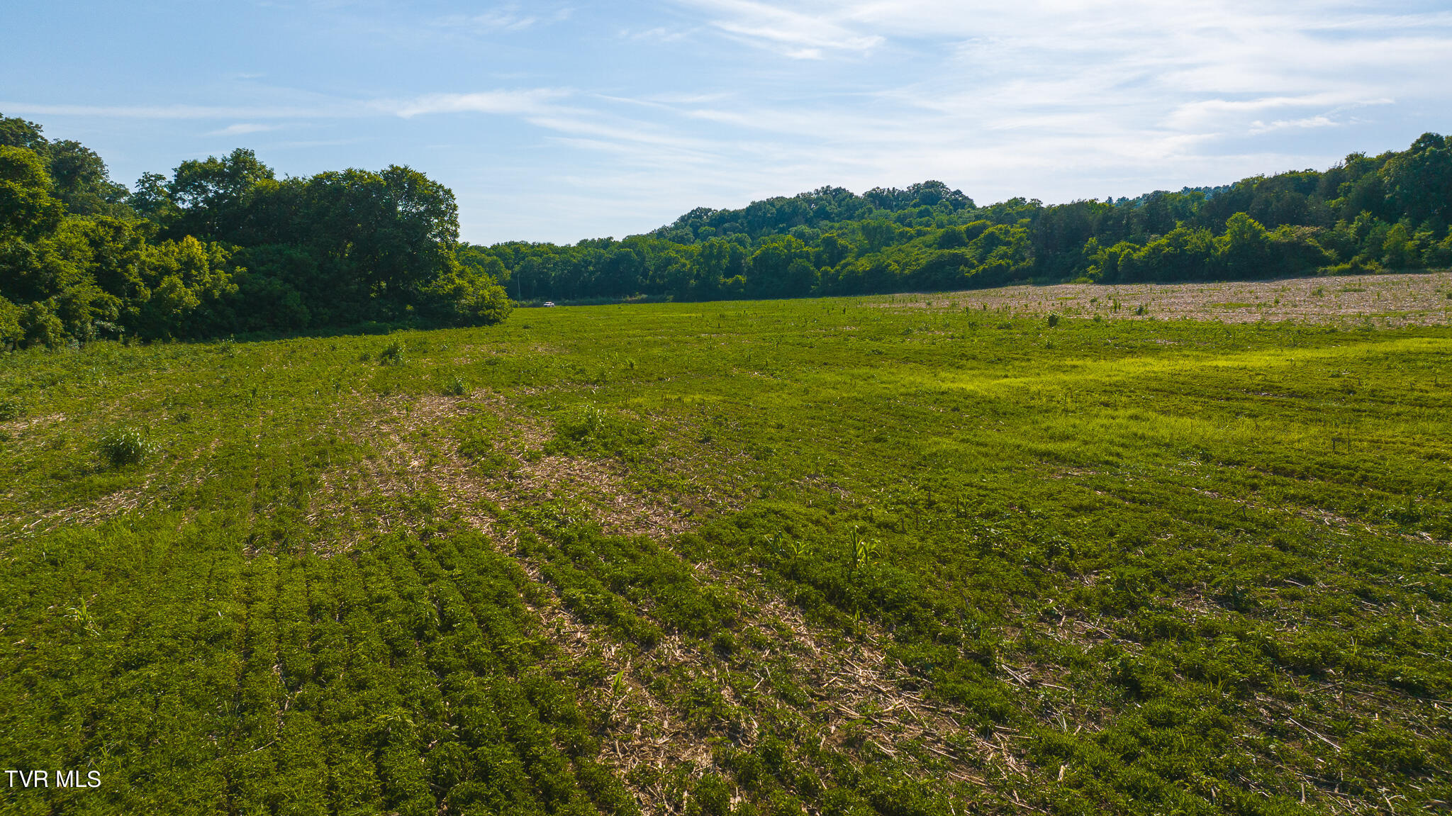 14460 Warrensburg Road, Midway, Tennessee image 10