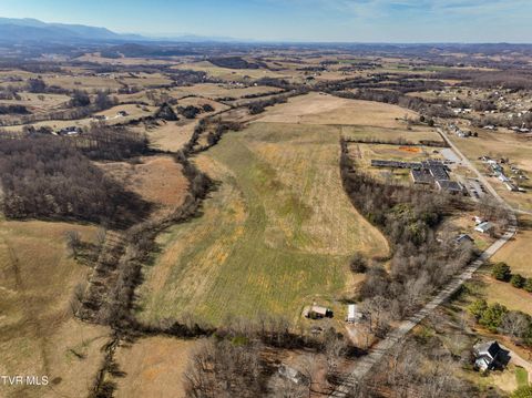 Vacant Land For Sale - TBD Old State Route 34<br/> Limestone, TN 37681
