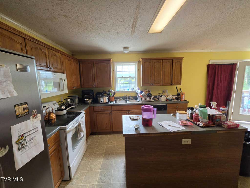 Photo of 1305 Jim Fox Road, Greeneville, TN 37743 (MLS # 9999803)