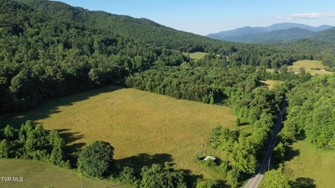 Vacant Land For Sale - 21/AC Tbd Houston Valley Tract 3a Road<br/> Greeneville, TN 37743