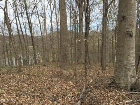 Vacant Land For Sale - 00 Horseshoe Bend Road<br/> Hawkins County, Rogersville, TN 37857