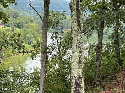 Photo of 00 Horseshoe Bend Road, Rogersville, TN 37857 (MLS # 9998243)