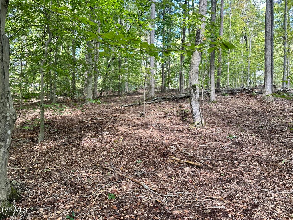 Photo of 4 Highway 70s, Rogersville, TN 37857 (MLS # 9986317)