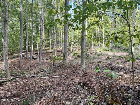 Vacant Land For Sale - LOT 4 Highway 70s<br/> Rogersville, TN 37857