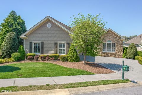 Photo of 17 Cypress Ridge Court, Jonesborough, TN 37659 (MLS # 9993691)