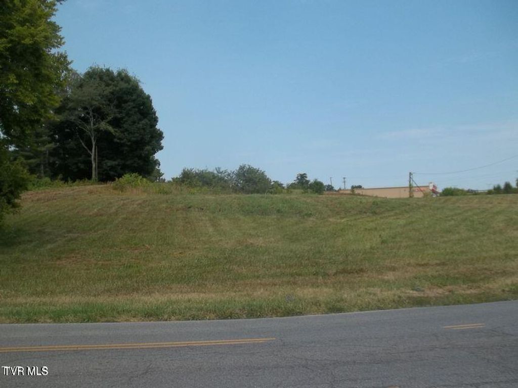 Photo of 220 Silver Lake Road, Church Hill, TN 37642 (MLS # 9991982)