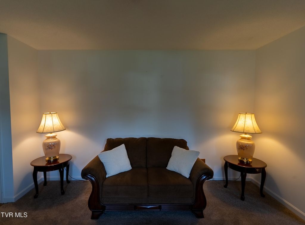 Photo of 111 Fairlawn Drive, Johnson City, TN 37601 (MLS # 9992292)