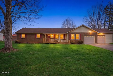 Photo of 111 Fairlawn Drive, Johnson City, TN 37601 (MLS # 9992292)