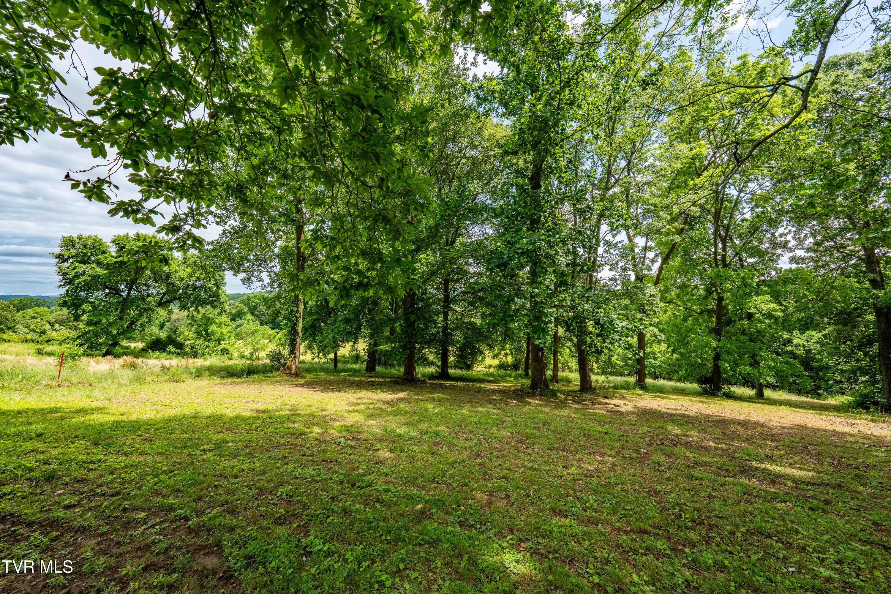 122 Spring Hollow Lane, Jonesborough, Tennessee image 45