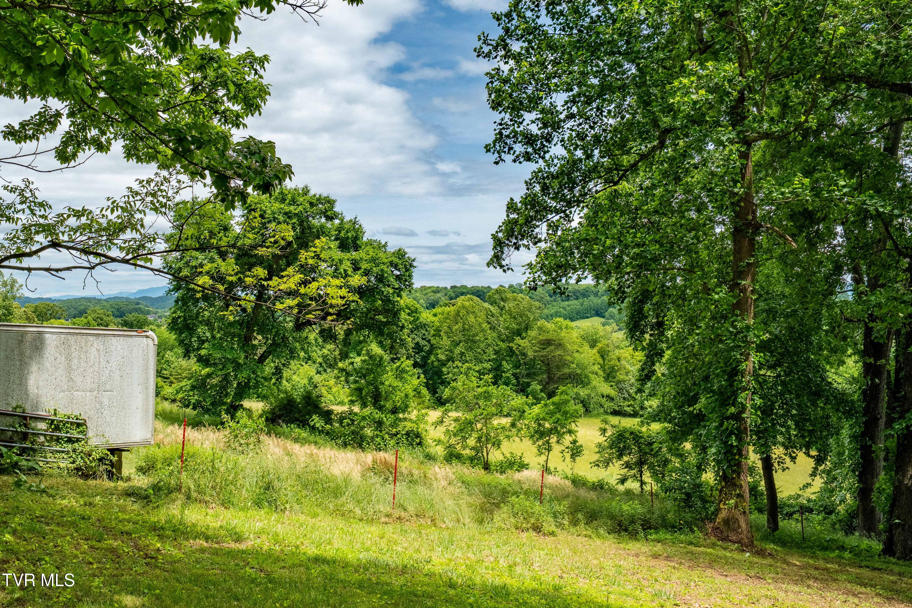 122 Spring Hollow Lane, Jonesborough, Tennessee image 46