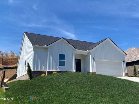 Photo of 768 Gardenia Drive, Johnson City, TN 37615 (MLS # 9992846)