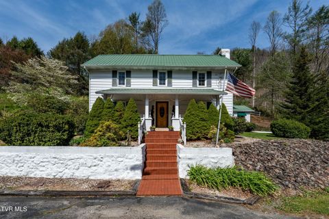 Photo of 6646 Roan Creek Road, Butler, TN 37640 (MLS # 9993568)
