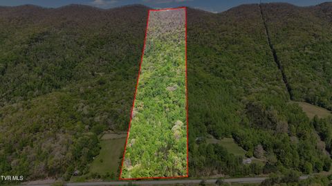 Vacant Land For Sale - Mendota Road<br/> Mendota, VA 24270