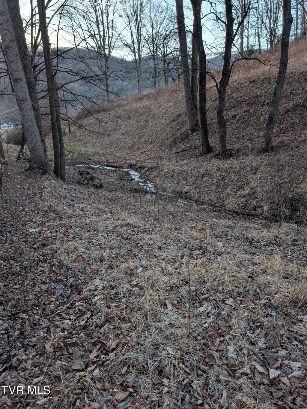 Photo of Tbd Heaton Ridge Road, Roan Mountain, TN 37687 (MLS # 9990516)