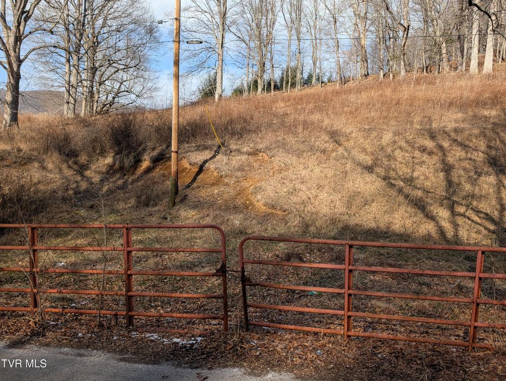 Photo of Tbd Heaton Ridge Road, Roan Mountain, TN 37687 (MLS # 9990516)