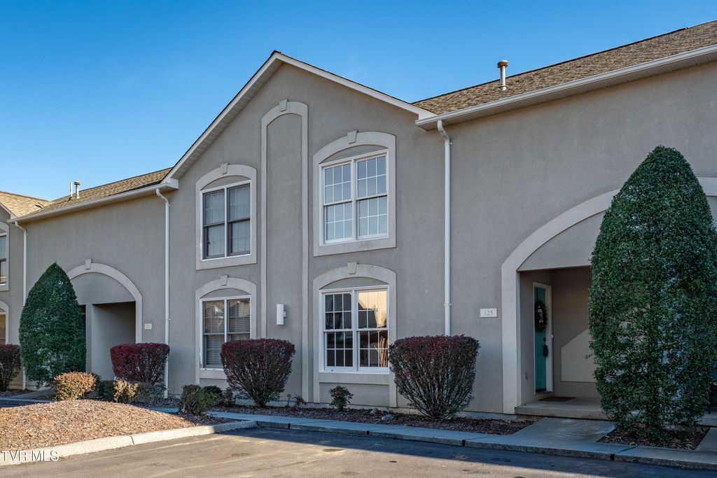 Photo of 125 Bentley Parc #47, Johnson City, TN 37615 (MLS # 9987963)