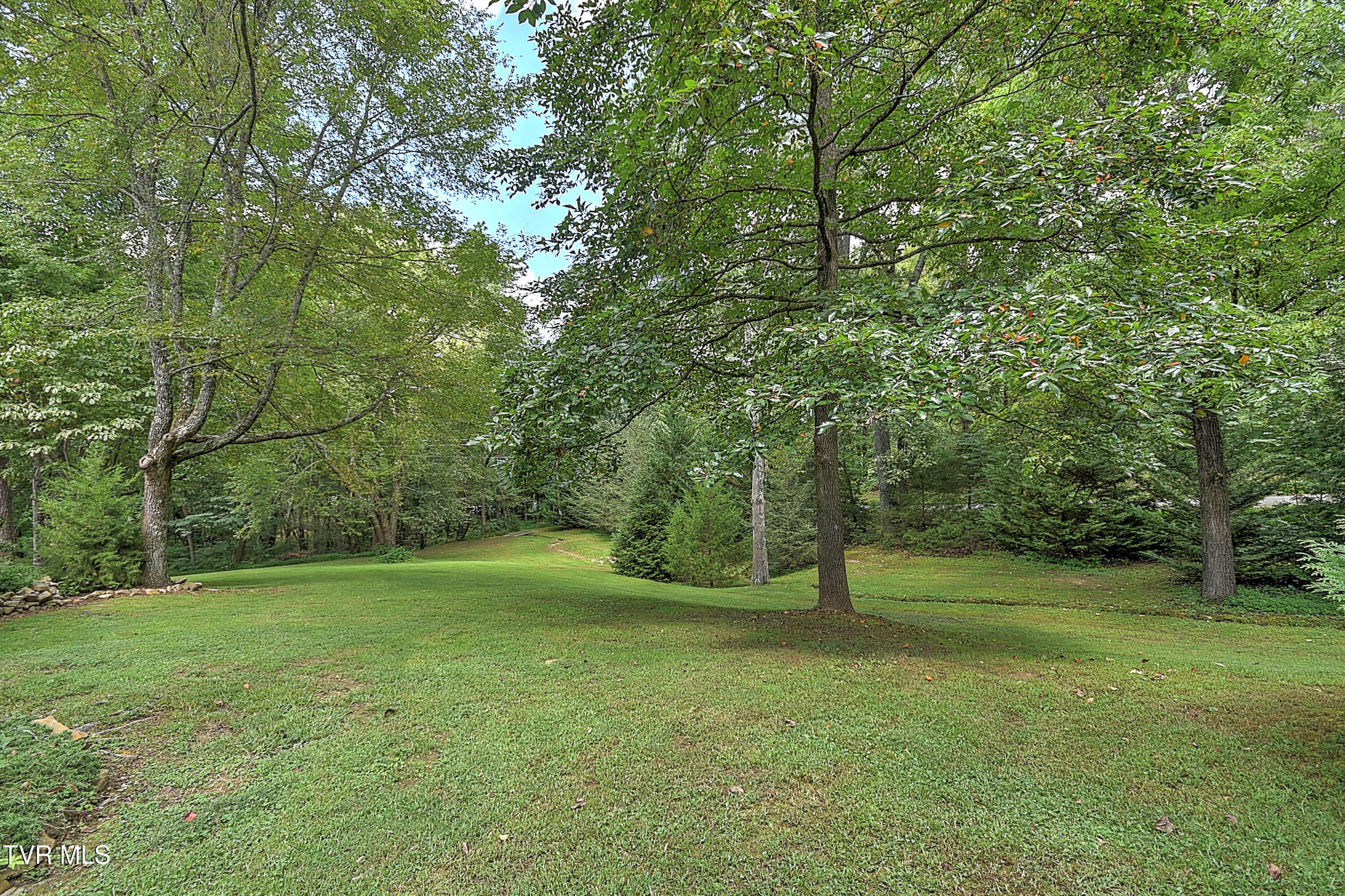 204 Chinquapin Lane, Jonesborough, Tennessee image 47