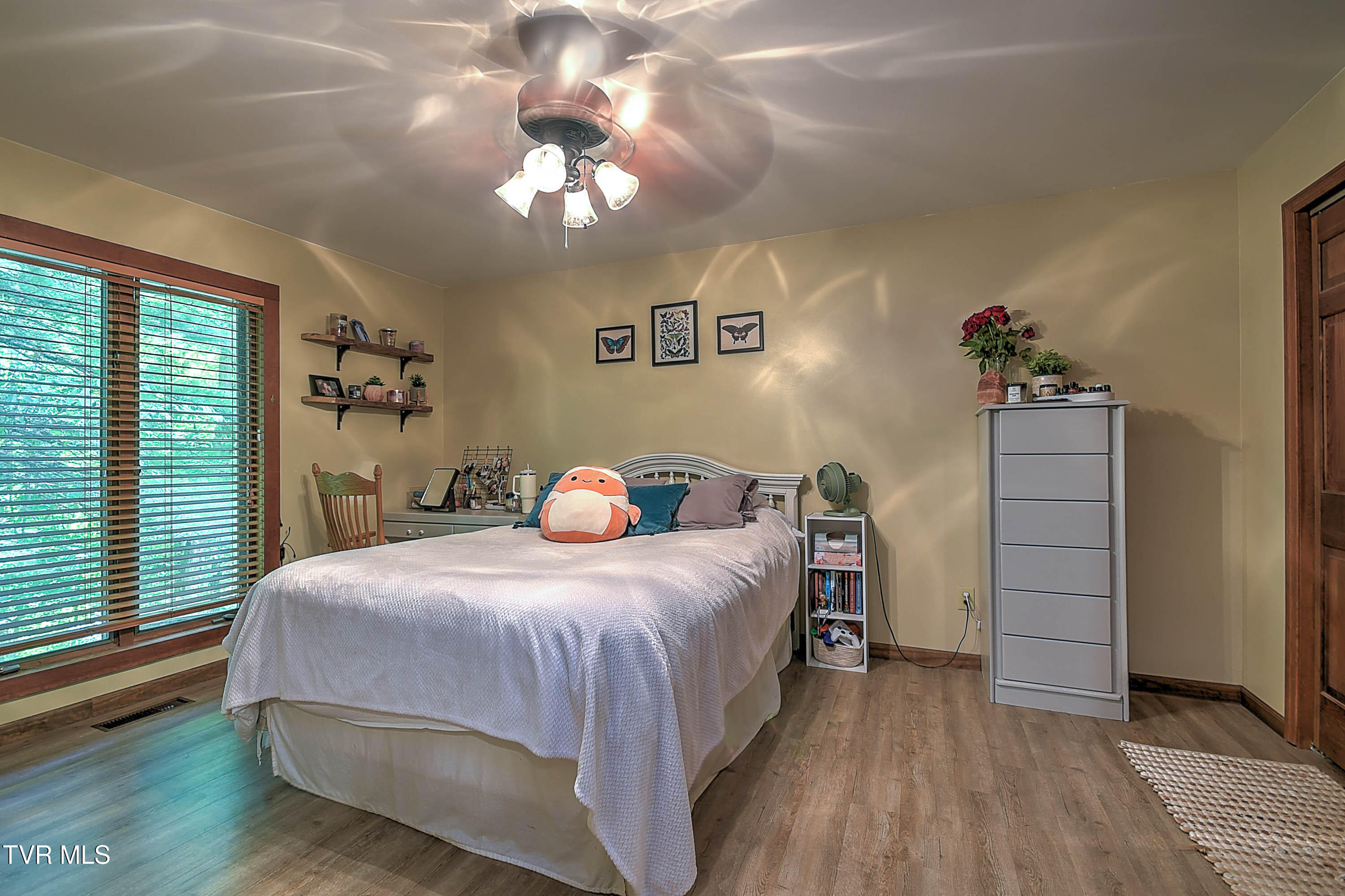 204 Chinquapin Lane, Jonesborough, Tennessee image 23