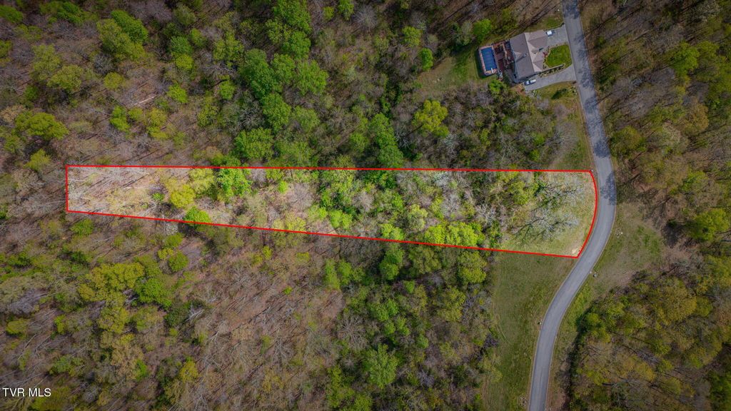 Photo of 1990 Turners Landing Road, Russellville, TN 37860 (MLS # 9993809)