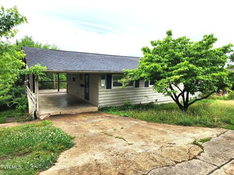 Photo of 546 Bays View Court, Kingsport, TN 37660 (MLS # 9995032)