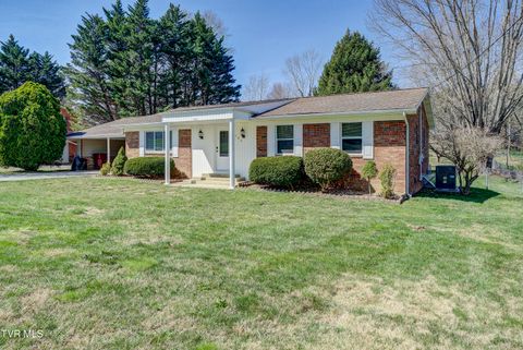 Photo of 1704 Jackson Terrace, Johnson City, TN 37604 (MLS # 9992447)