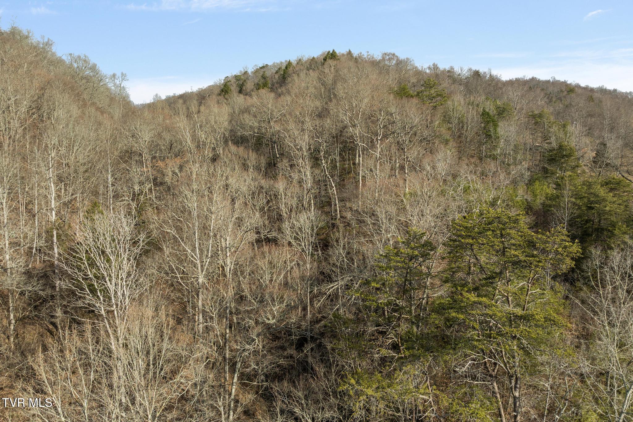 2292 Tazewell Highway, Sneedville, Tennessee image 19