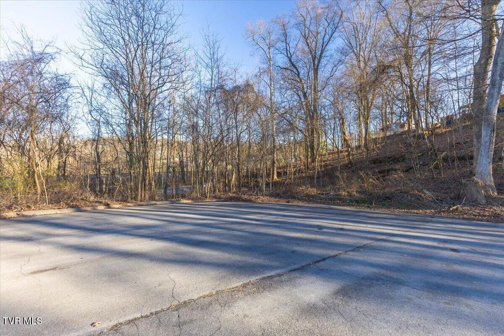 Photo of 213 Millstone Cove, Bluff City, TN 37618 (MLS # 9989714)