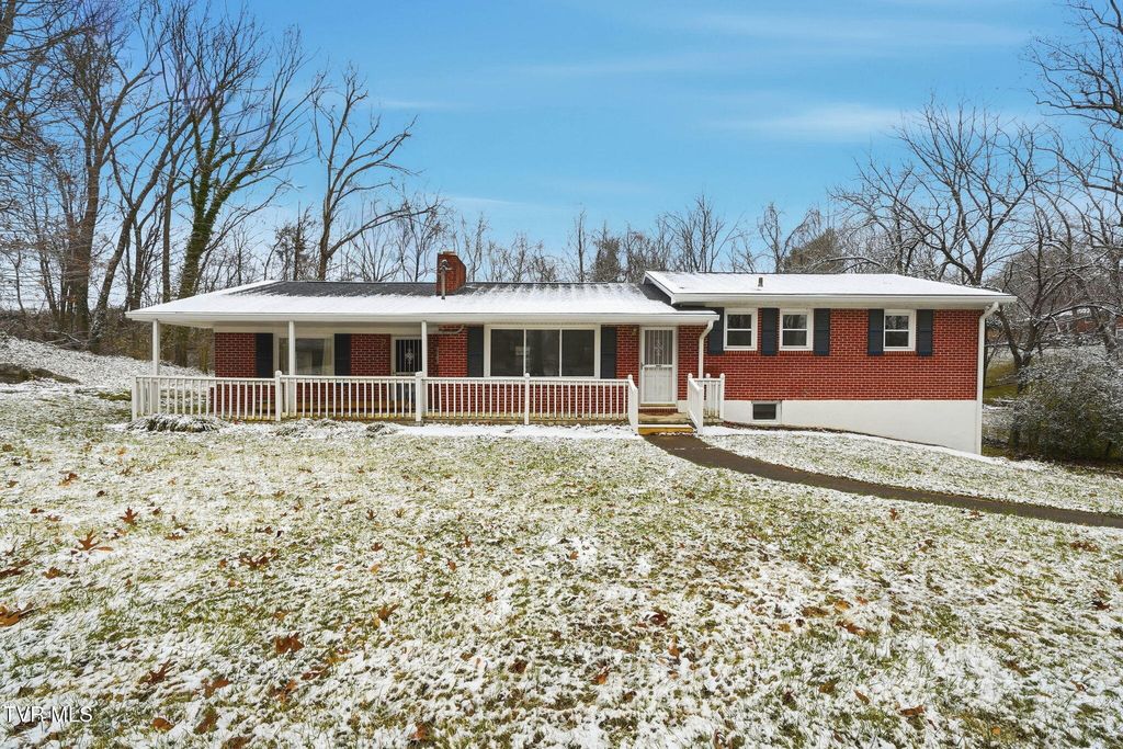 Photo of 223 Poplar Hill Drive, Johnson City, TN 37604 (MLS # 9989243)