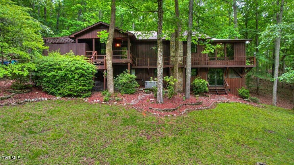 Photo of 180 Misty Woods Drive, Blountville, TN 37617 (MLS # 9996251)