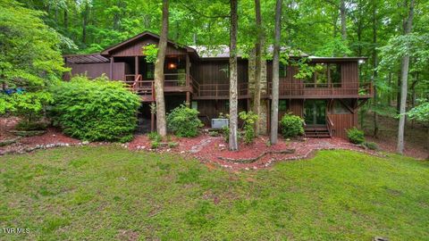 Photo of 180 Misty Woods Drive, Blountville, TN 37617 (MLS # 9996251)