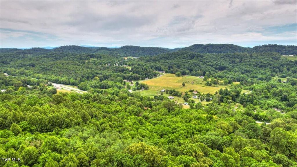 Photo of 180 Misty Woods Drive, Blountville, TN 37617 (MLS # 9996251)