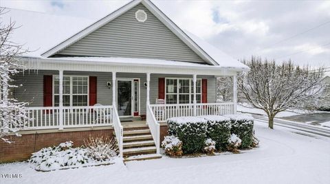 11 Vesta Sue Court Jonesborough TN 37659