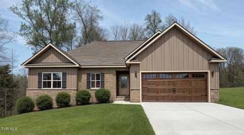 Photo of 448 Tortoise Way, Jonesborough, TN 37659 (MLS # 9994429)