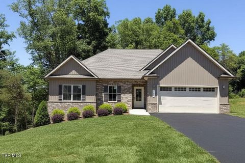 Photo of 448 Tortoise Way, Jonesborough, TN 37659 (MLS # 9994429)