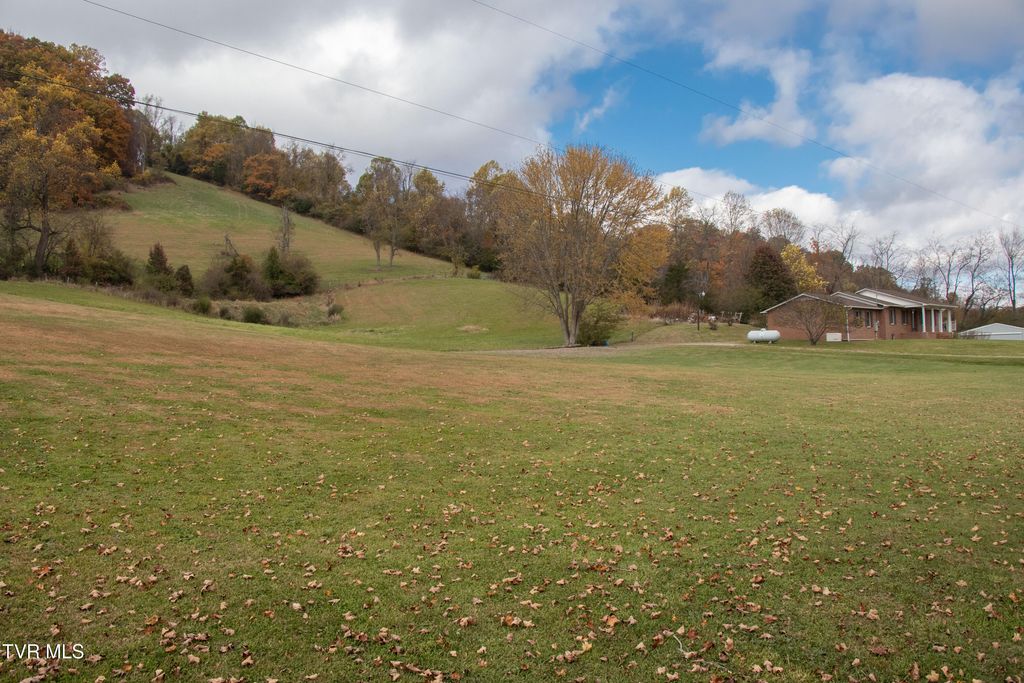 Photo of 27141 Old Saltworks Road, Meadowview, VA 24361 (MLS # 9987887)