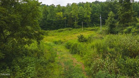Tiny photo for 1446 Brooks Road, Sneedville, TN 37869 (MLS # 9984614)